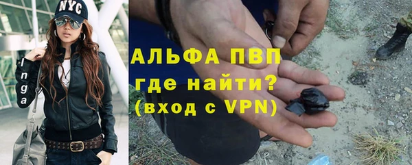 прущие грибы Протвино