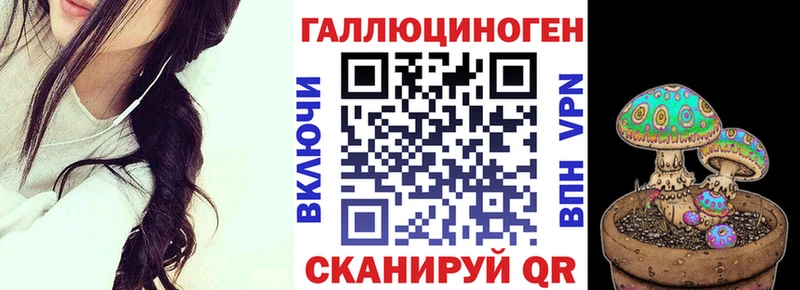 Галлюциногенные грибы Psilocybe  Арсеньев 