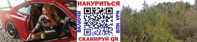 где купить наркоту  ссылка на мегу tor  Марихуана White Widow  Арсеньев 